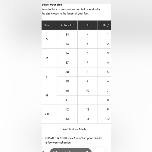 Charles and Keith chunky platform shoes - Picture 11 of 11
